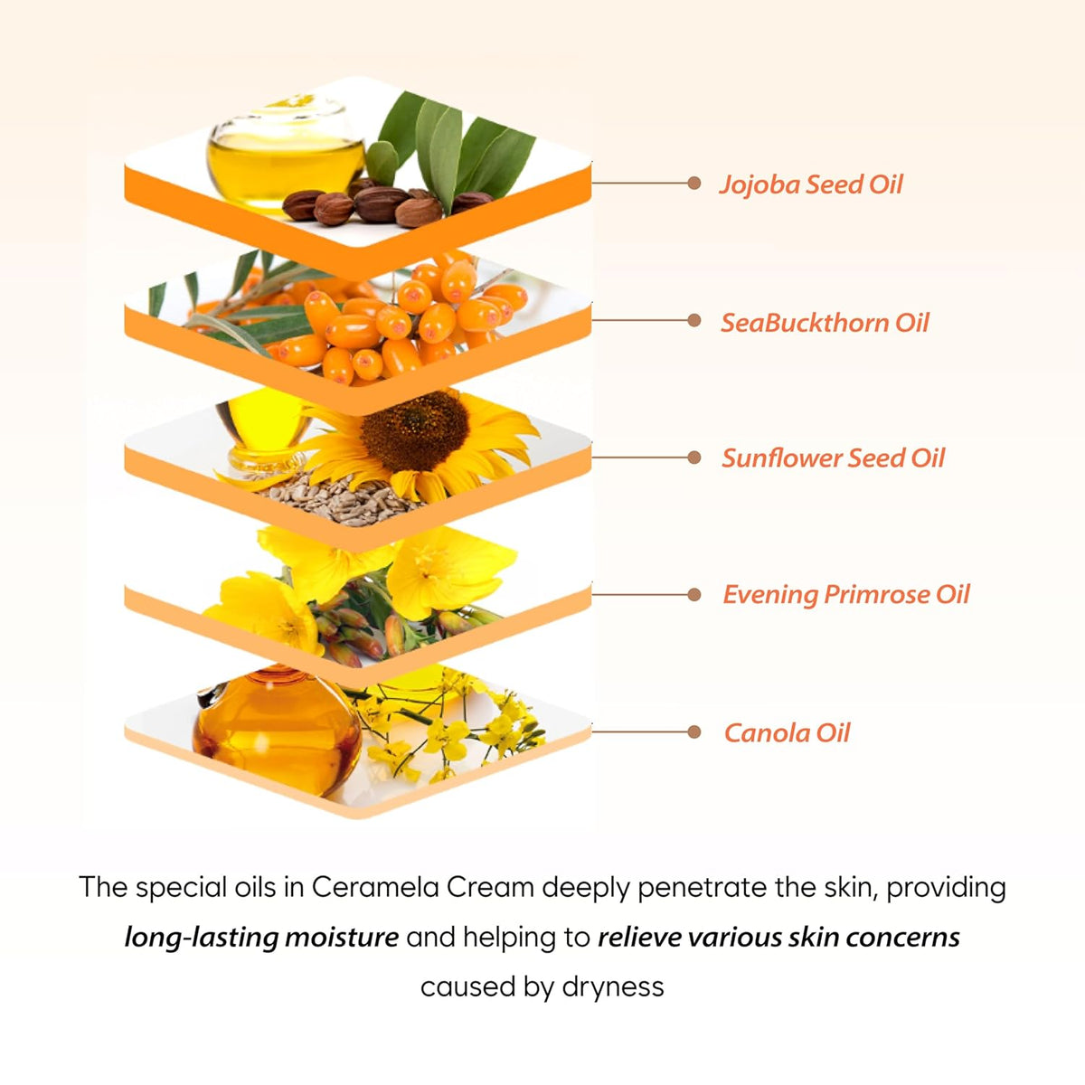 [ Flaner ] Papaya Ceramela Moisturizer Cream 1.69 fl.oz - Beautiha