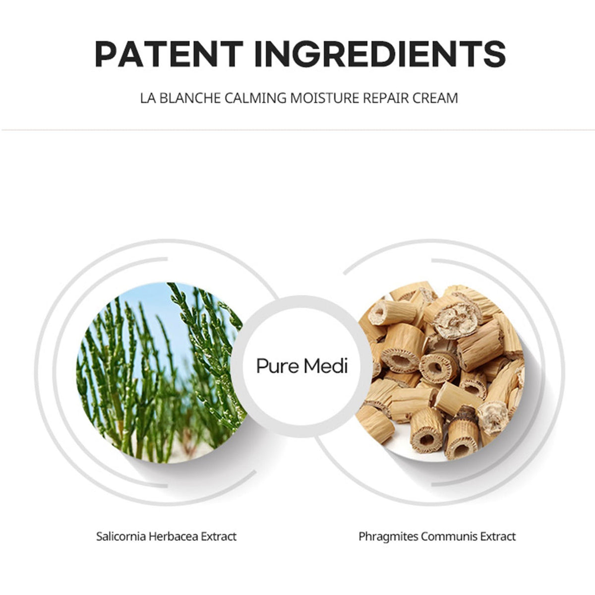 [ La Chomb ] LA BLANCHE Cream 60ml - Beautiha