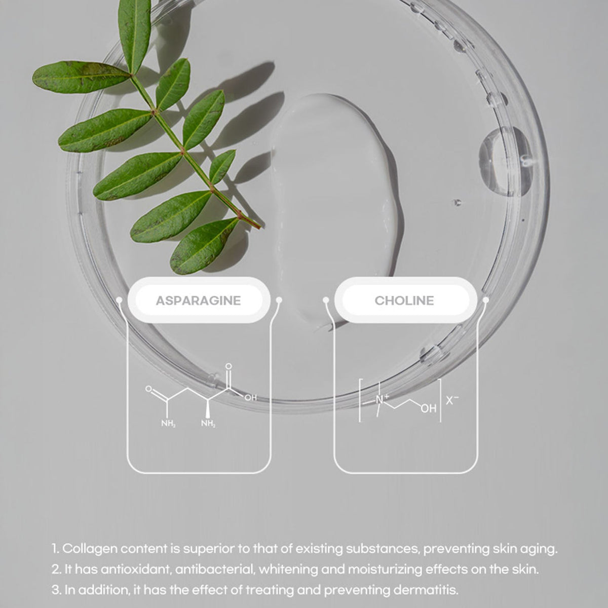 [ La Chomb ] LA BLANCHE Cream 60ml - Beautiha