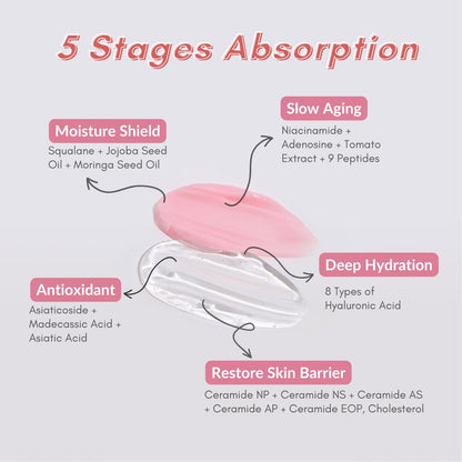 Tomato Face Moisturizer Cream 50ml - Beautiha